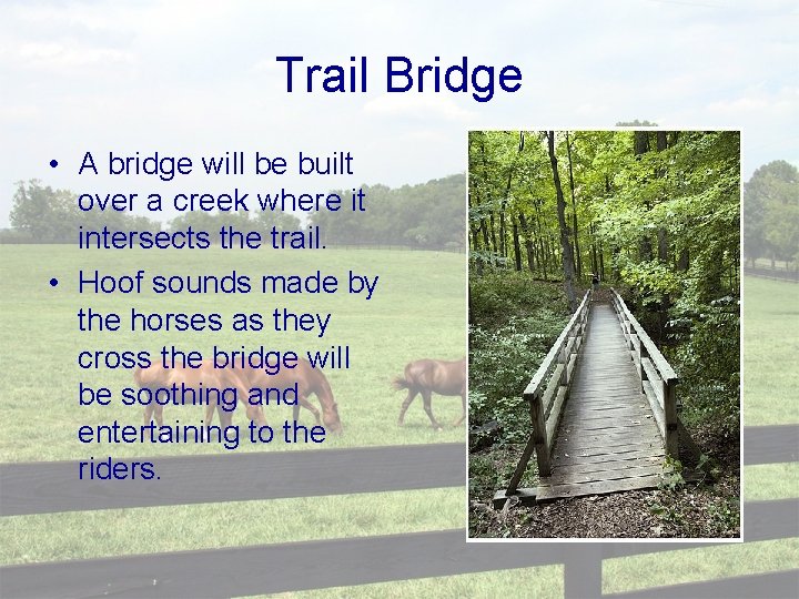 Trail Bridge • A bridge will be built over a creek where it intersects