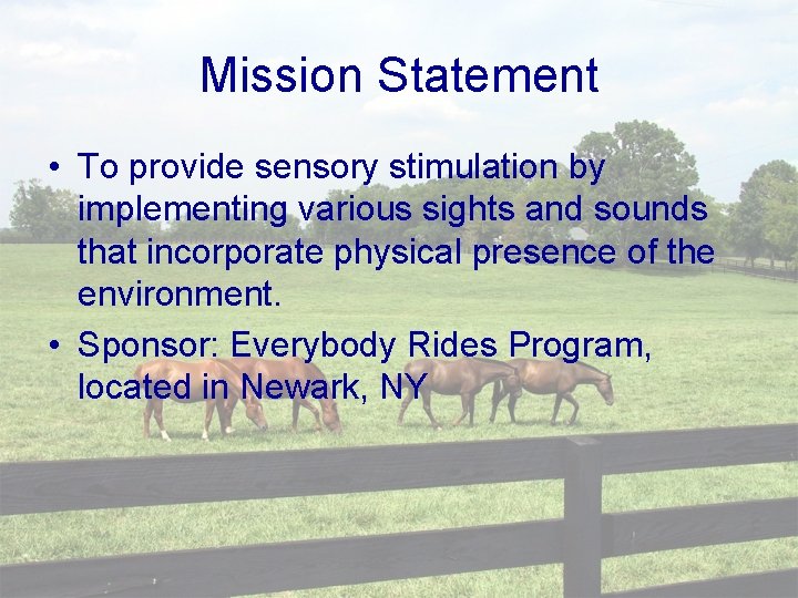 Mission Statement • To provide sensory stimulation by implementing various sights and sounds that