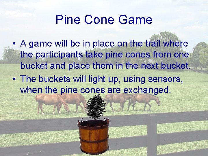 Pine Cone Game • A game will be in place on the trail where