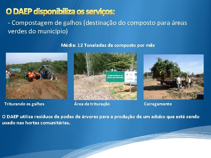 O DAEP disponibiliza os serviços: - Compostagem de galhos (destinação do composto para áreas