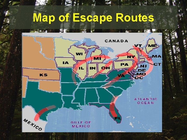 Map of Escape Routes 