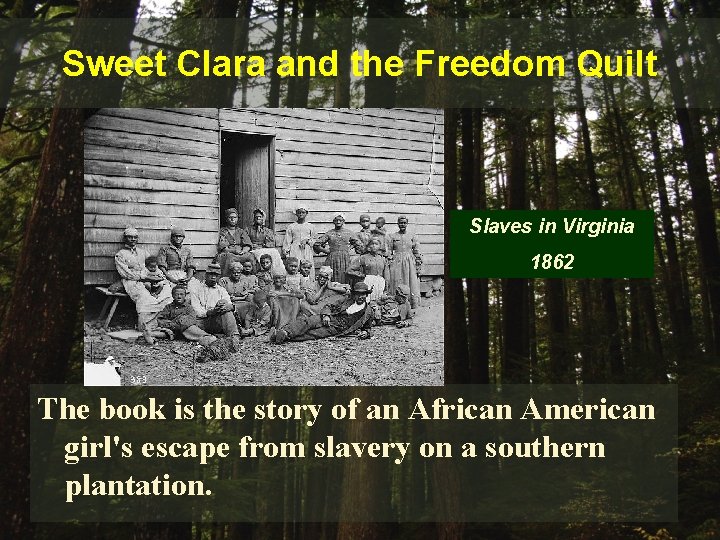 Sweet Clara and the Freedom Quilt Slaves in Virginia 1862 The book is the