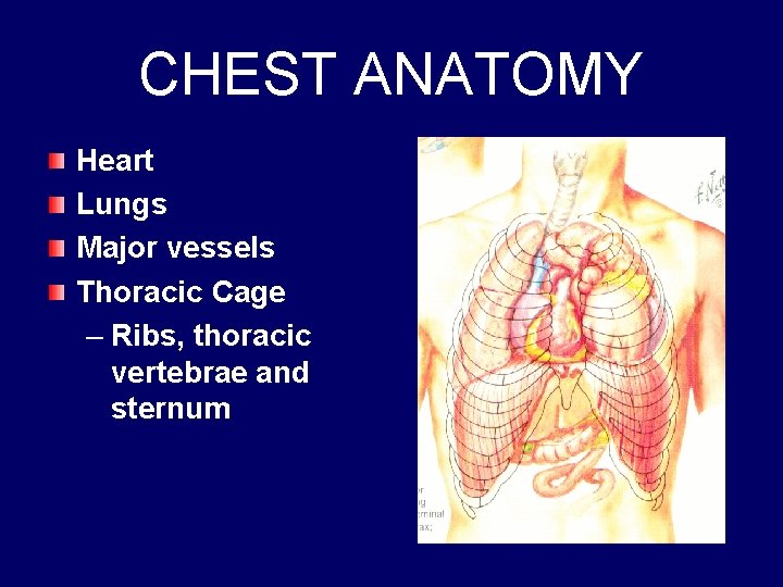 CHEST ANATOMY Heart Lungs Major vessels Thoracic Cage – Ribs, thoracic vertebrae and sternum