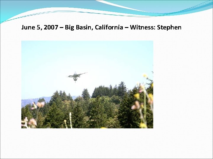 June 5, 2007 – Big Basin, California – Witness: Stephen 