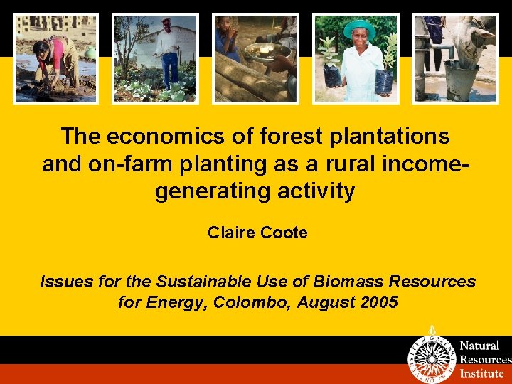 The economics of forest plantations and on-farm planting as a rural incomegenerating activity Claire