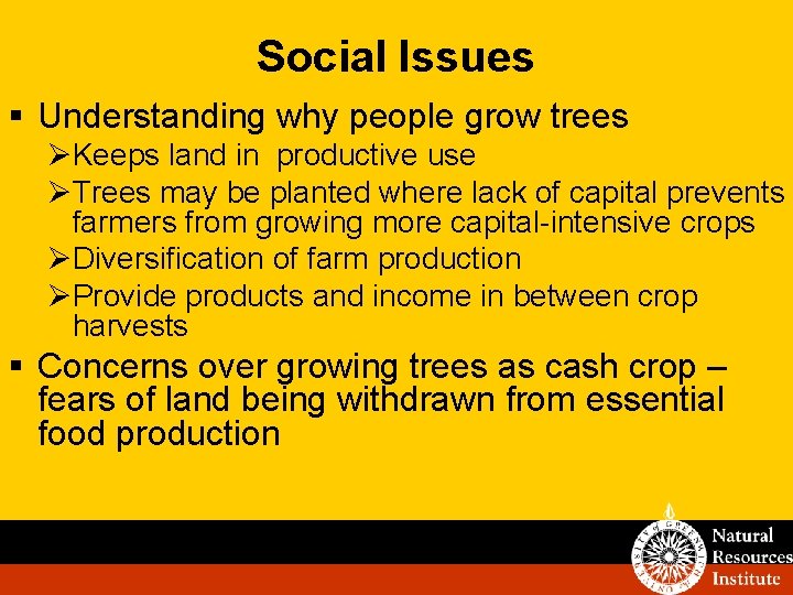 Social Issues § Understanding why people grow trees ØKeeps land in productive use ØTrees