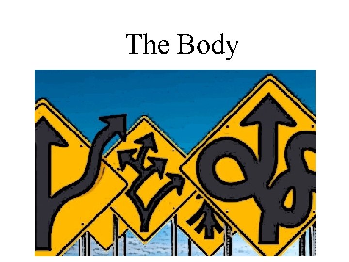 The Body The Body