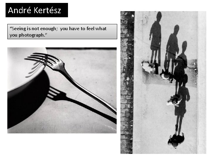 André Kertész “Seeing is not enough; you have to feel what you photograph. ”