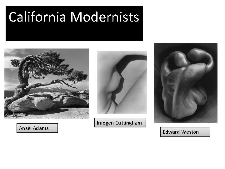 California Modernists Ansel Adams Imogen Cuttingham Edward Weston 