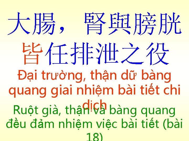 大腸，腎與膀胱 皆任排泄之役 Đại trường, thận dữ bàng quang giai nhiệm bài tiết chi dịch