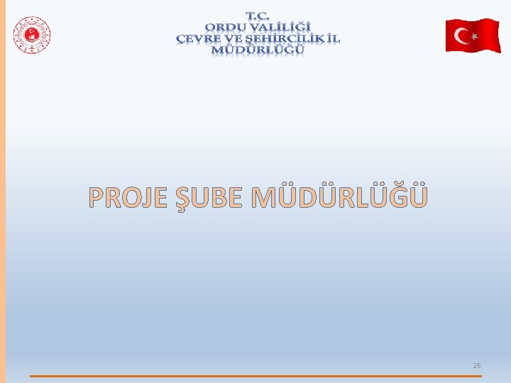 PROJE ŞUBE MÜDÜRLÜĞÜ 25 