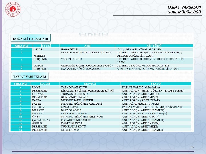 TABİAT VARLIKLARI ŞUBE MÜDÜRLÜĞÜ 65 