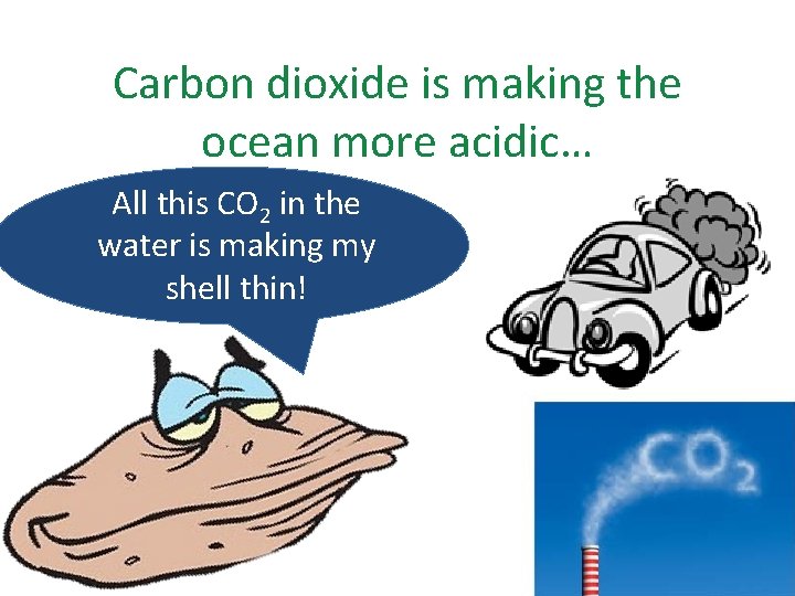 Carbon dioxide is making the ocean more acidic… All this CO 2 in the