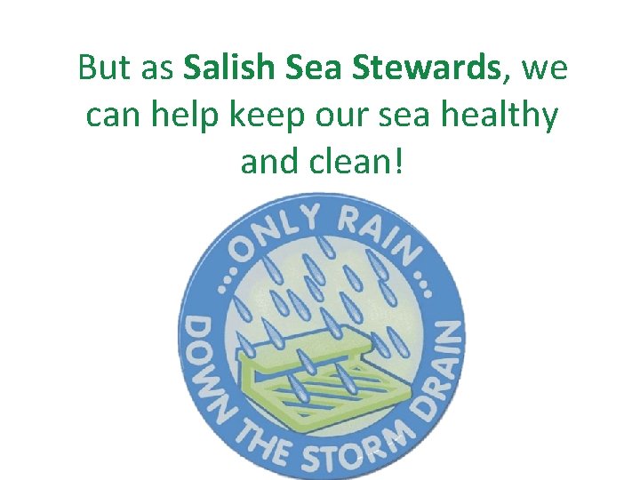 But as Salish Sea Stewards, we can help keep our sea healthy and clean!