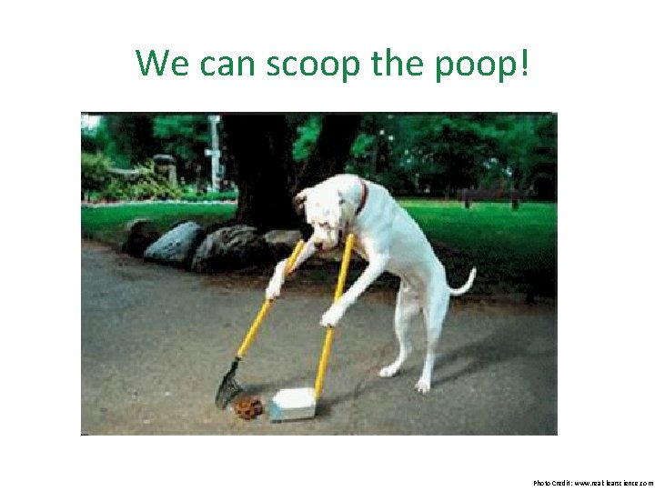 We can scoop the poop! Photo Credit: www. realclearscience. com We can scoop the poop! Photo Credit: www. realclearscience. com
