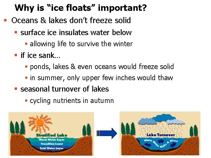 Why is “ice floats” important? § Oceans & lakes don’t freeze solid § surface