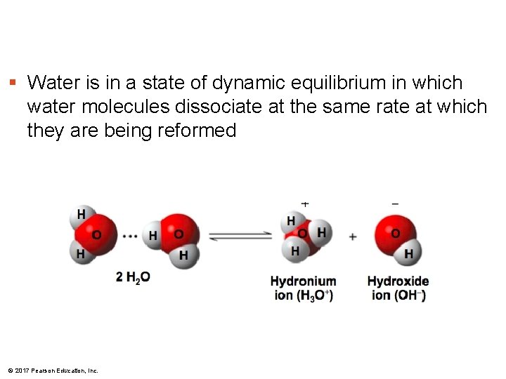 § Water is in a state of dynamic equilibrium in which water molecules dissociate