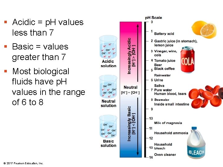 § Acidic = p. H values less than 7 § Basic = values greater