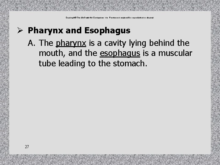 Copyright The Mc. Graw-Hill Companies, Inc. Permission required for reproduction or display. Ø Pharynx Copyright The Mc. Graw-Hill Companies, Inc. Permission required for reproduction or display. Ø Pharynx