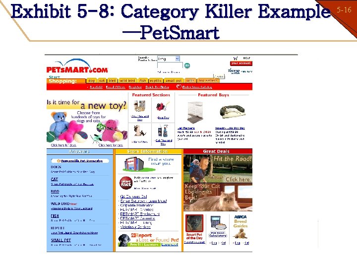 5 -16 Exhibit 5 -8: Category Killer Example 1 -16 —Pet. Smart 