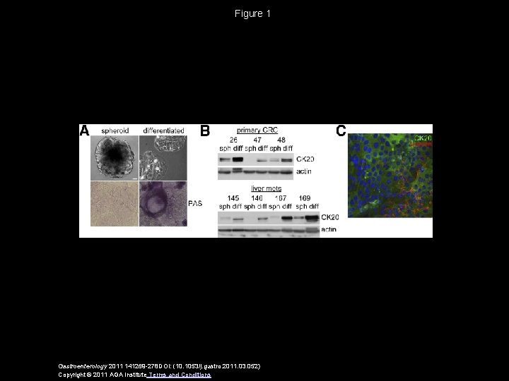 Figure 1 Gastroenterology 2011 141269 -278 DOI: (10. 1053/j. gastro. 2011. 03. 052) Copyright