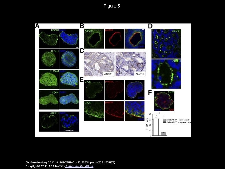 Figure 5 Gastroenterology 2011 141269 -278 DOI: (10. 1053/j. gastro. 2011. 03. 052) Copyright