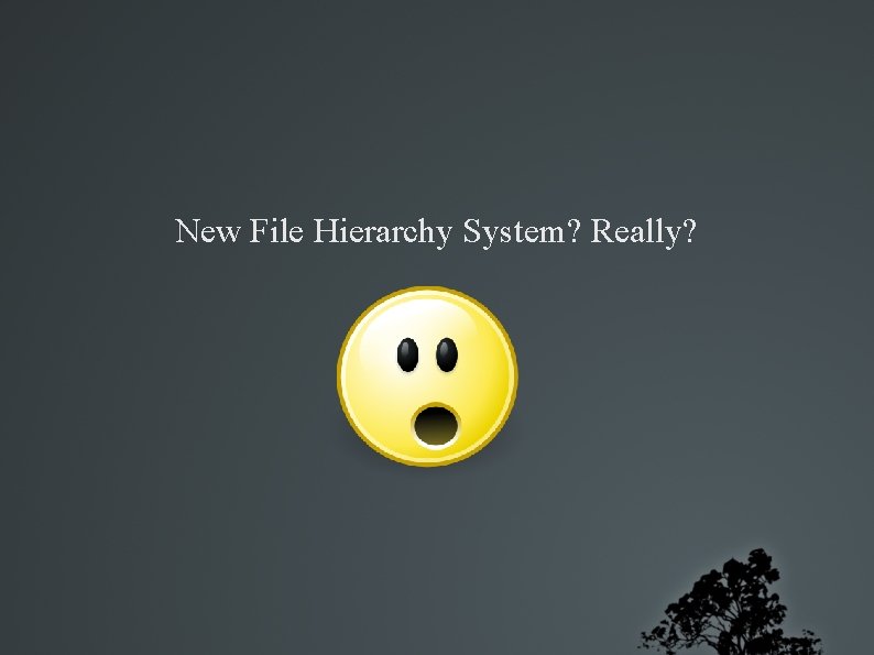 New File Hierarchy System? Really? 