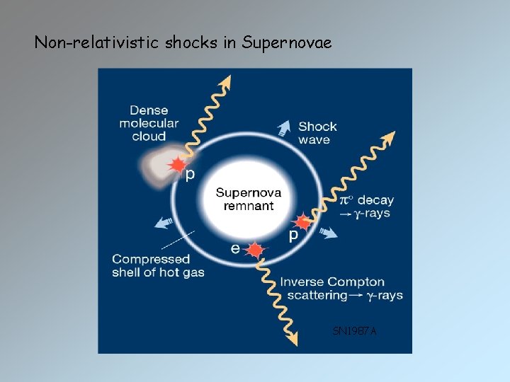 Non-relativistic shocks in Supernovae SN 1987 A 