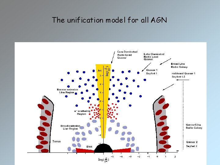 The unification model for all AGN 