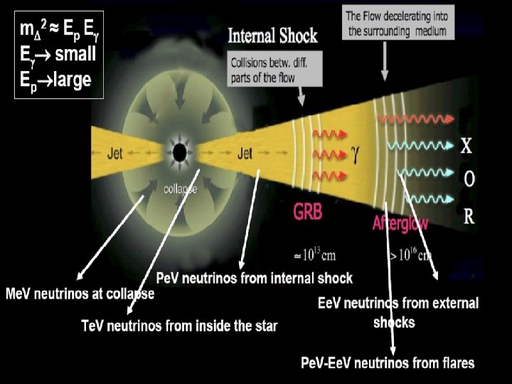 Gamma Ray Bursters Progenitors: • Binary neutron star merger • Collapsars (Wolf-Rayet stars) •