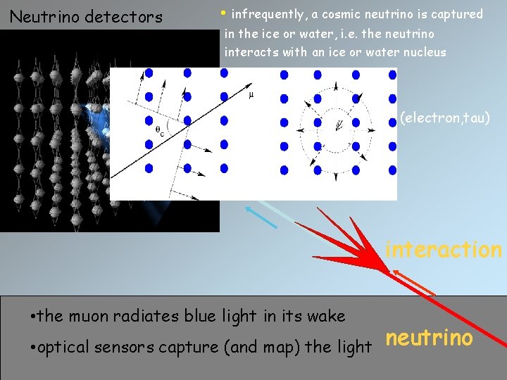 Neutrino detectors • infrequently, a cosmic neutrino is captured in the ice or water,