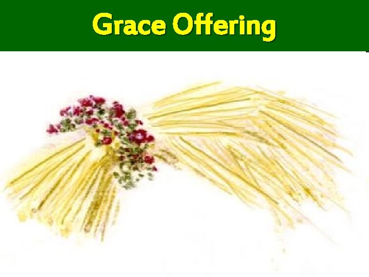 Grace Offering 