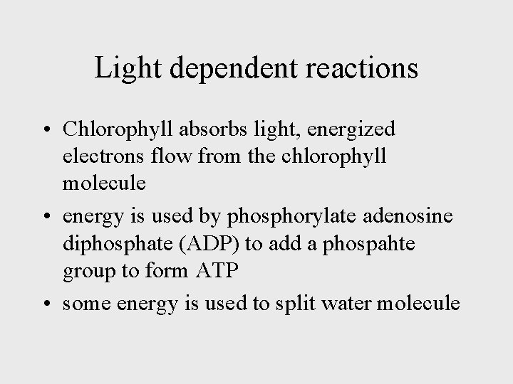 Light dependent reactions • Chlorophyll absorbs light, energized electrons flow from the chlorophyll molecule