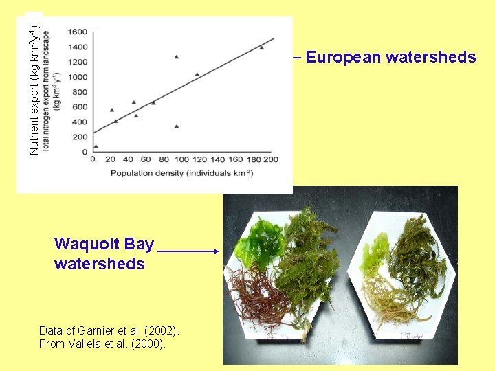 Nutrient export (kg km-2 y-1) European watersheds Waquoit Bay watersheds Data of Garnier et Nutrient export (kg km-2 y-1) European watersheds Waquoit Bay watersheds Data of Garnier et