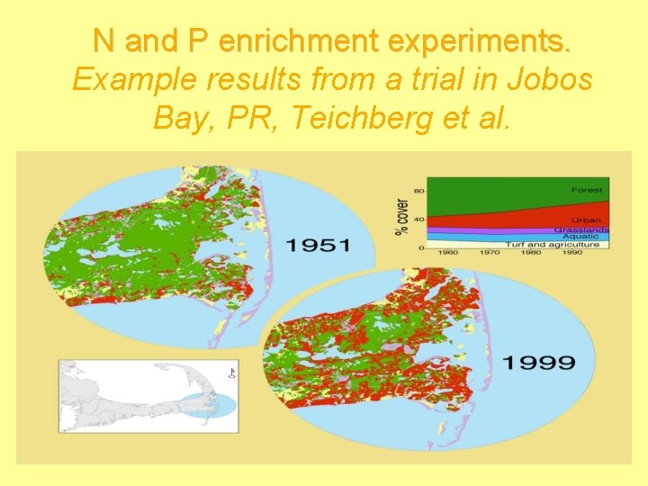 N and P enrichment experiments. Example results from a trial in Jobos Bay, PR,