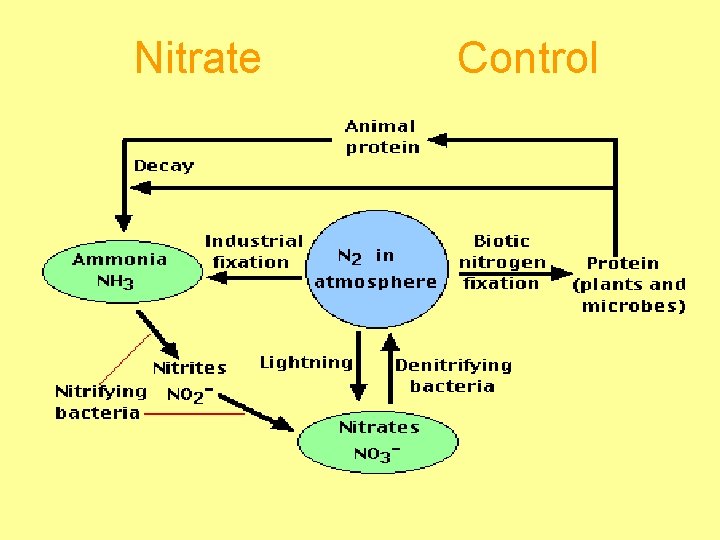 Nitrate Control 