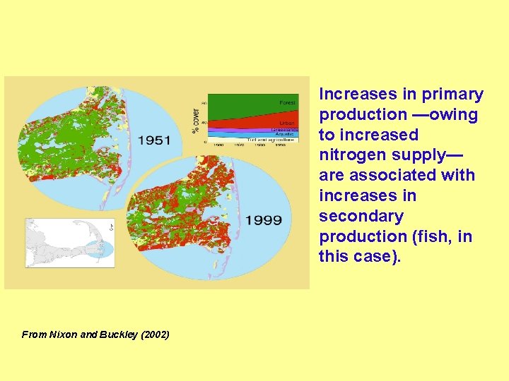 Increases in primary production —owing to increased nitrogen supply— are associated with increases in