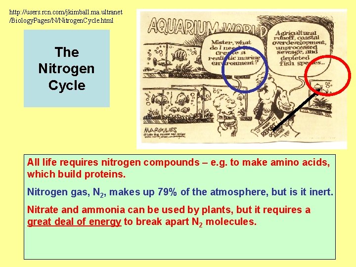 http: //users. rcn. com/jkimball. ma. ultranet /Biology. Pages/N/Nitrogen. Cycle. html The Nitrogen Cycle All