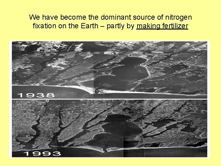 We have become the dominant source of nitrogen fixation on the Earth – partly