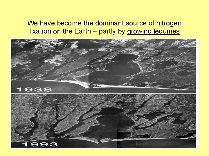 We have become the dominant source of nitrogen fixation on the Earth – partly