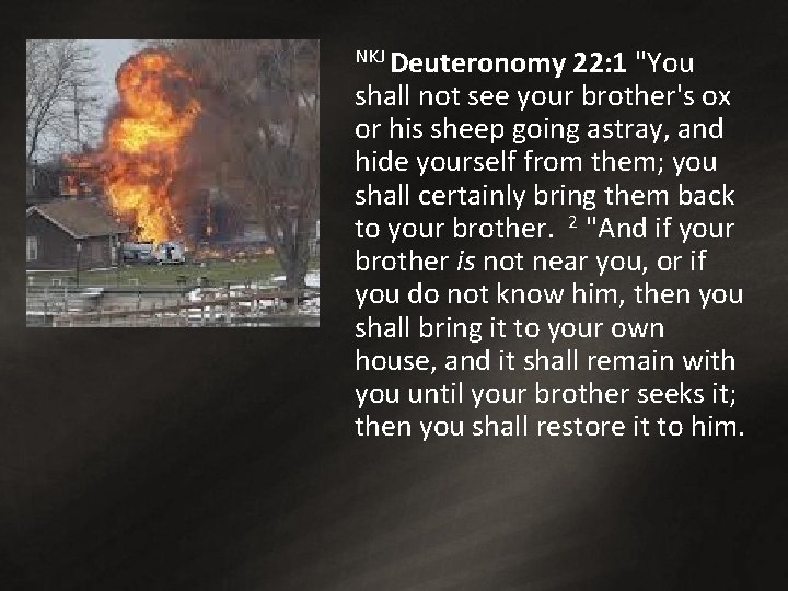 NKJ Deuteronomy 22: 1 "You shall not see your brother's ox or his sheep NKJ Deuteronomy 22: 1 "You shall not see your brother's ox or his sheep