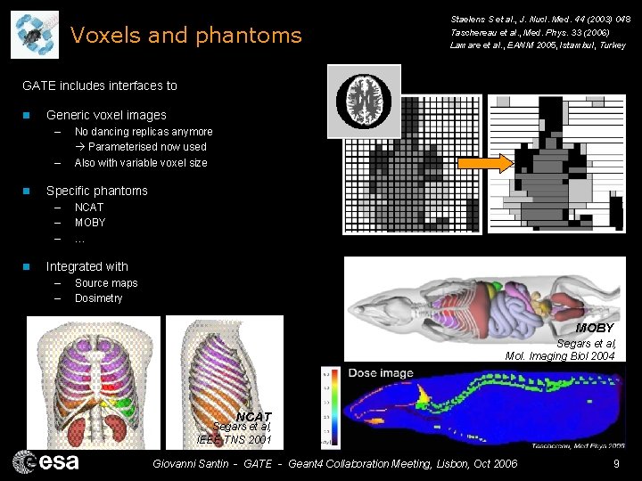 Voxels and phantoms Staelens S et al. , J. Nucl. Med. 44 (2003) 048