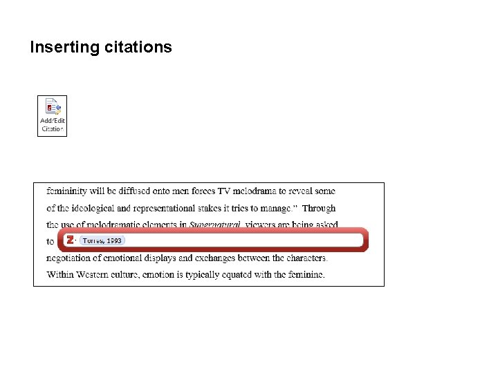 Inserting citations 