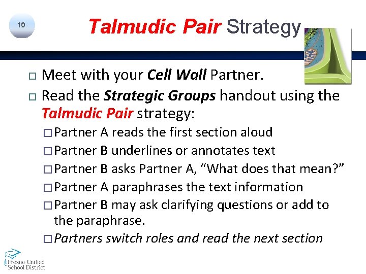 Talmudic Pair Strategy 10 Meet with your Cell Wall Partner. Read the Strategic Groups