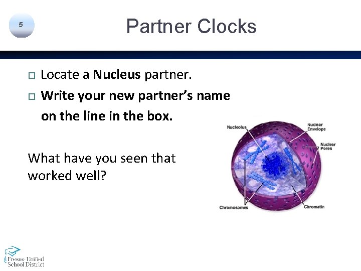 Partner Clocks 5 Locate a Nucleus partner. Write your new partner’s name on the