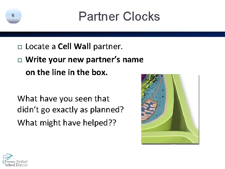 Partner Clocks 6 Locate a Cell Wall partner. Write your new partner’s name on