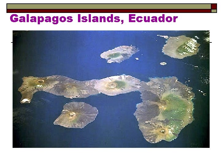 Galapagos Islands, Ecuador 