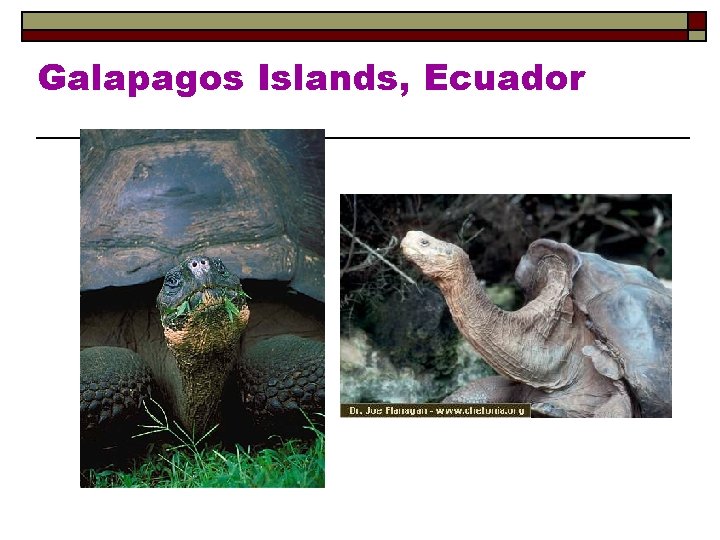 Galapagos Islands, Ecuador 