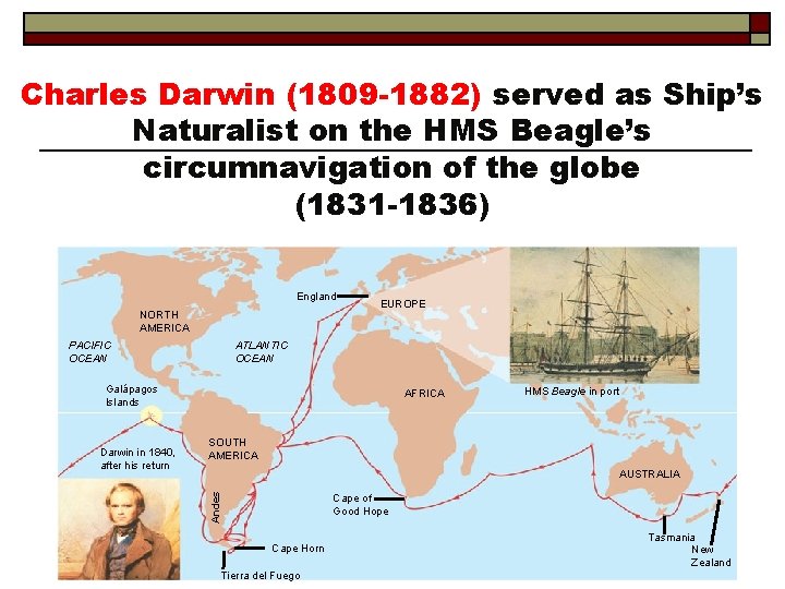 Charles Darwin (1809 -1882) served as Ship’s Naturalist on the HMS Beagle’s circumnavigation of