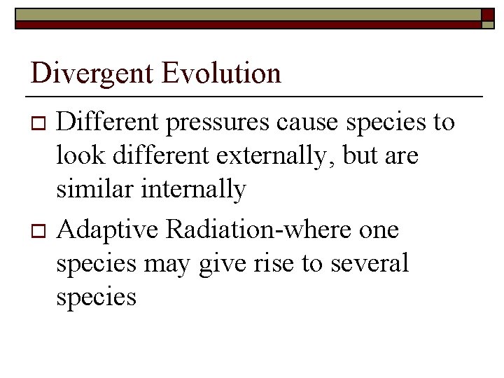 Divergent Evolution Different pressures cause species to look different externally, but are similar internally